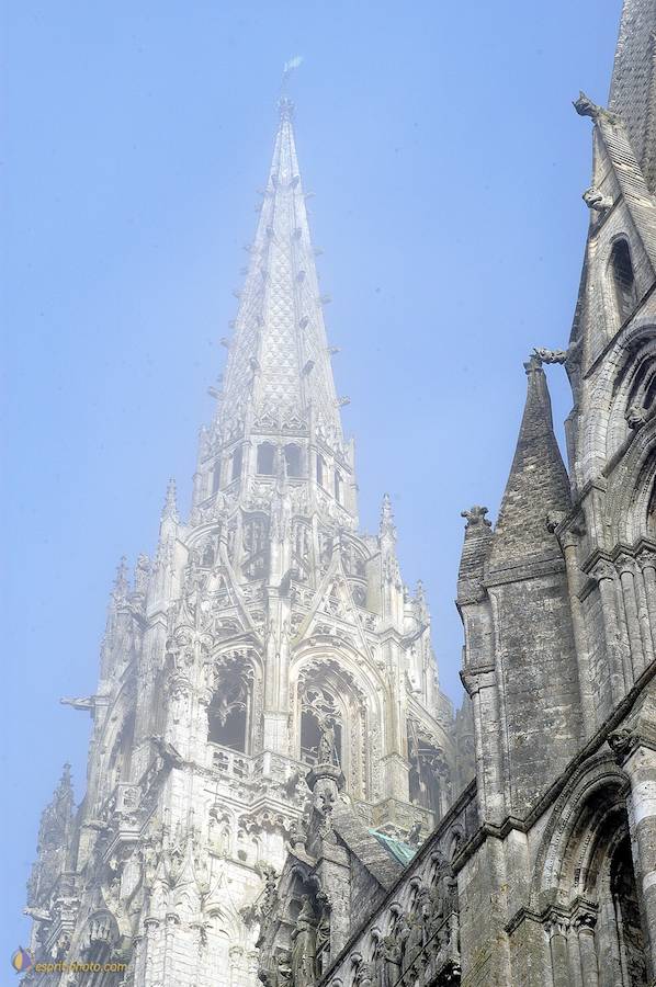 Nom de l'image : D1107482-nef-01_(c)Norbert-JUNG — Description :